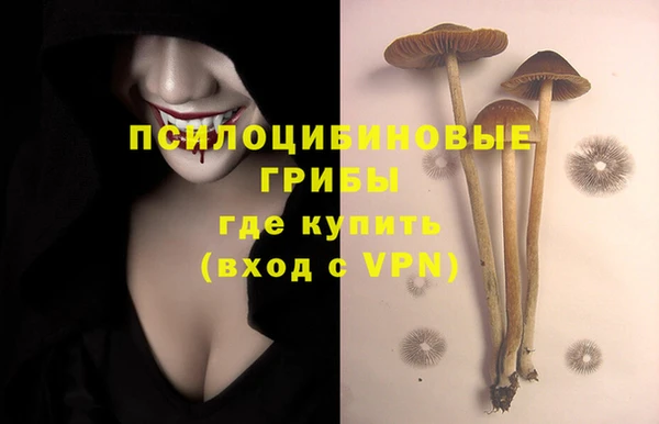 амф Надым