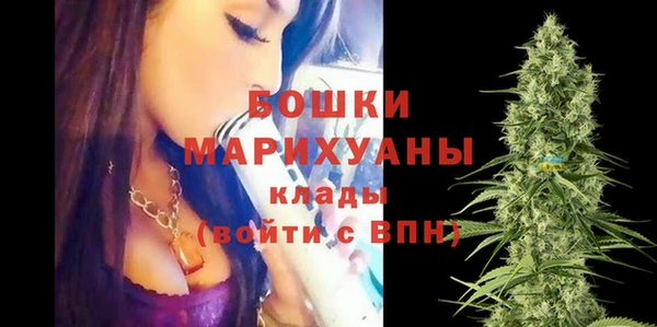 амф Надым